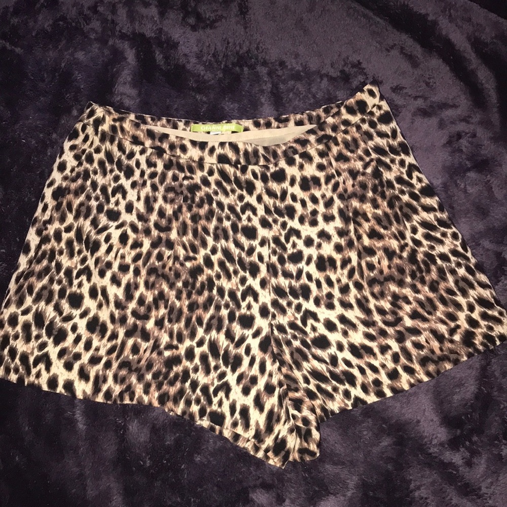 Leopard print Gianni Bini shorts NWOT - Picture 1 of 5